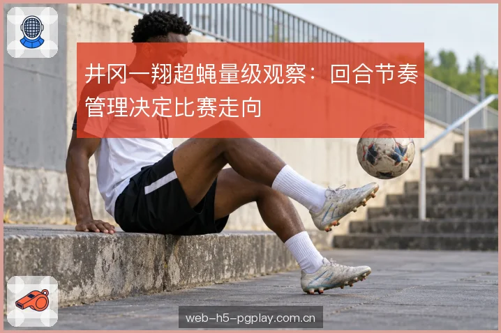井冈一翔超蝇量级观察:回合节奏管理决定比赛走向